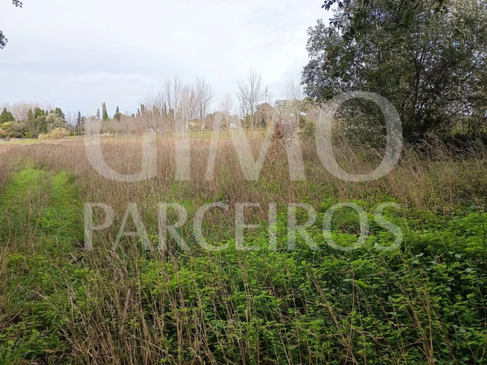 Terreno para Venda em Sangalhos Foto 1