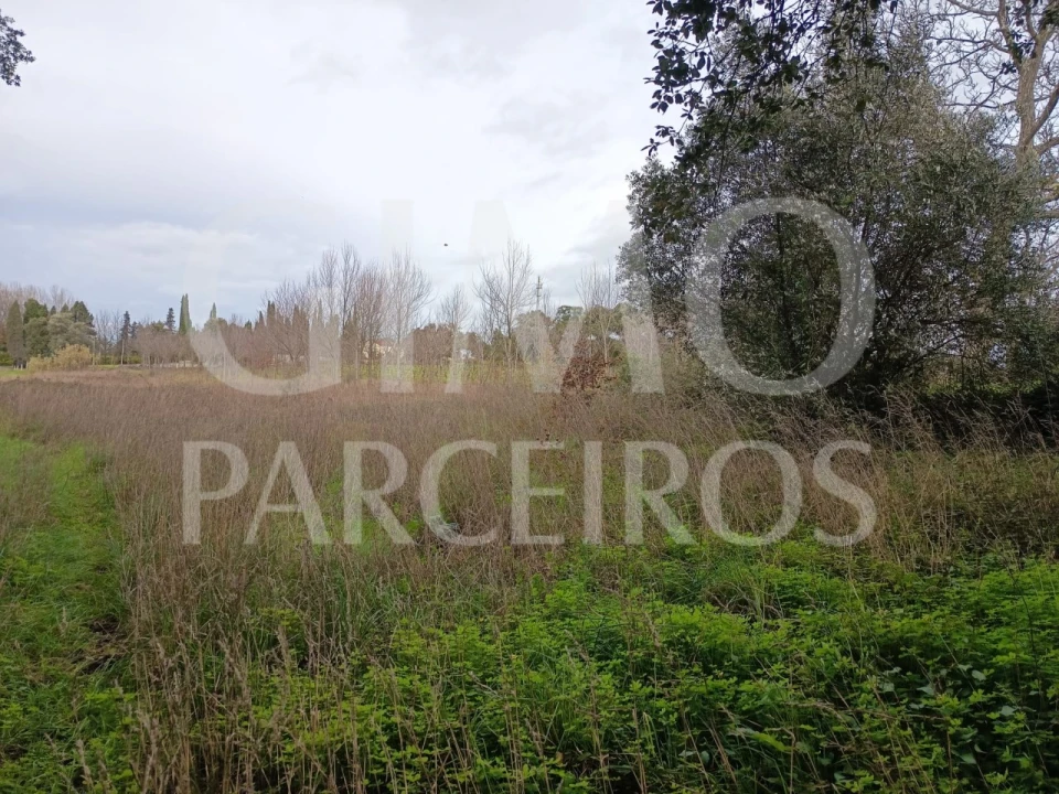 Terreno para Venda em Sangalhos Foto 3