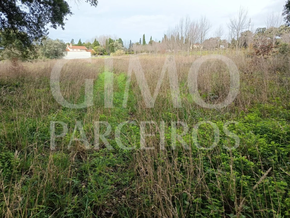 Terreno para Venda em Sangalhos Foto 4