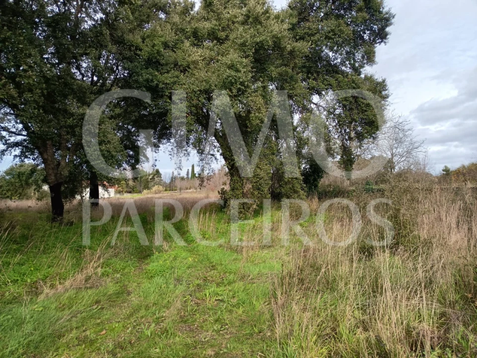 Terreno para Venda em Sangalhos Foto 5