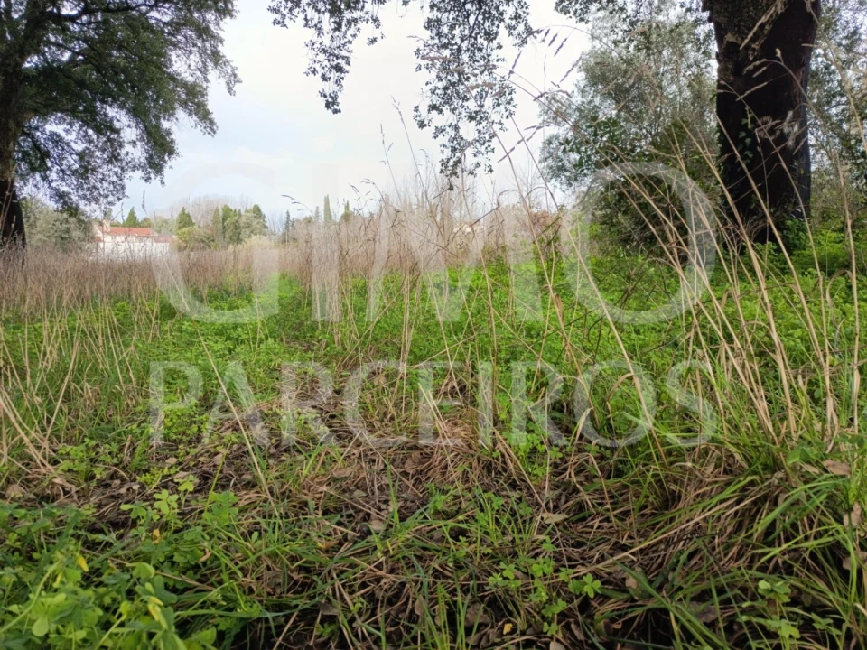Terreno para Venda em Sangalhos Foto 6