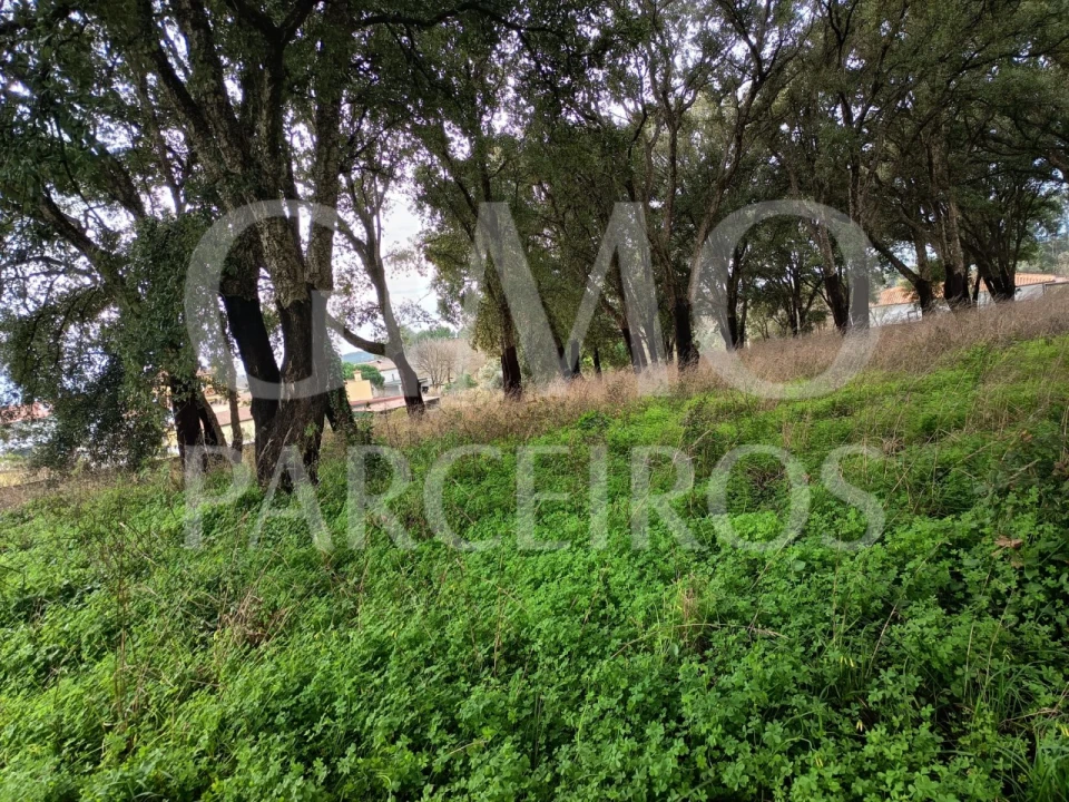 Terreno para Venda em Sangalhos Foto 7