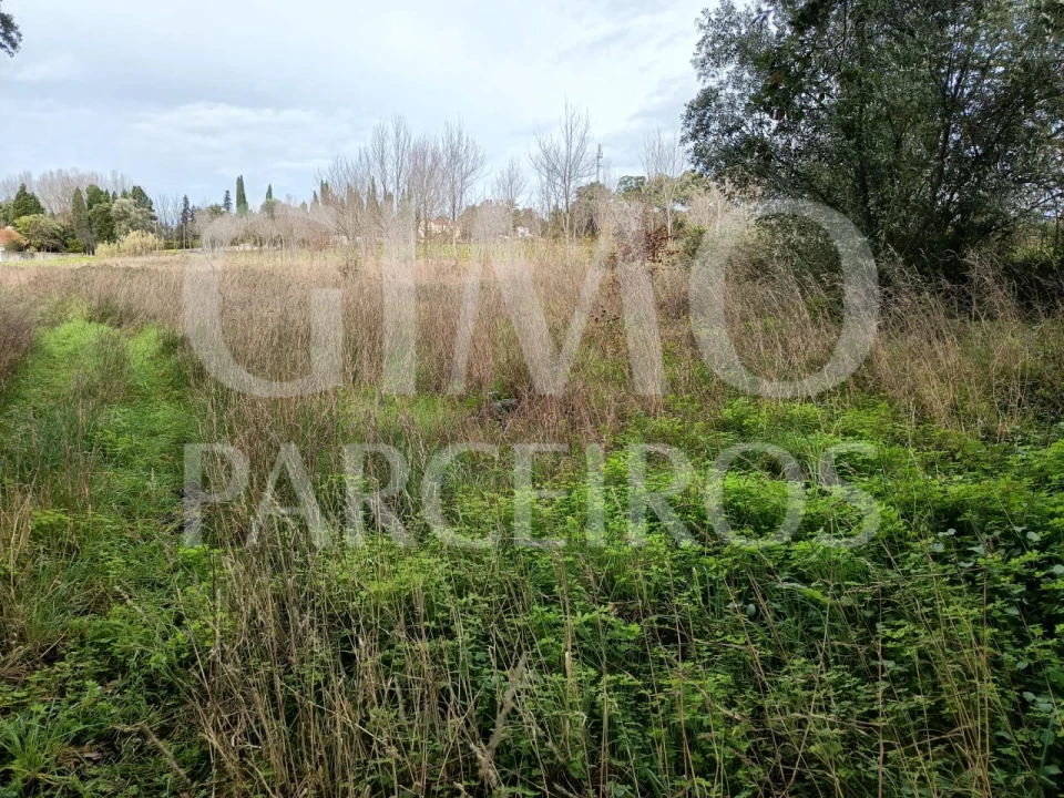 Terreno para Venda em Sangalhos Foto 8