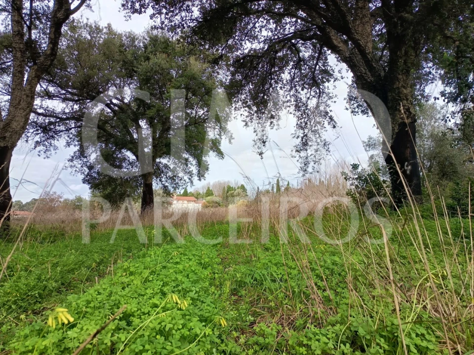 Terreno para Venda em Sangalhos Foto 9