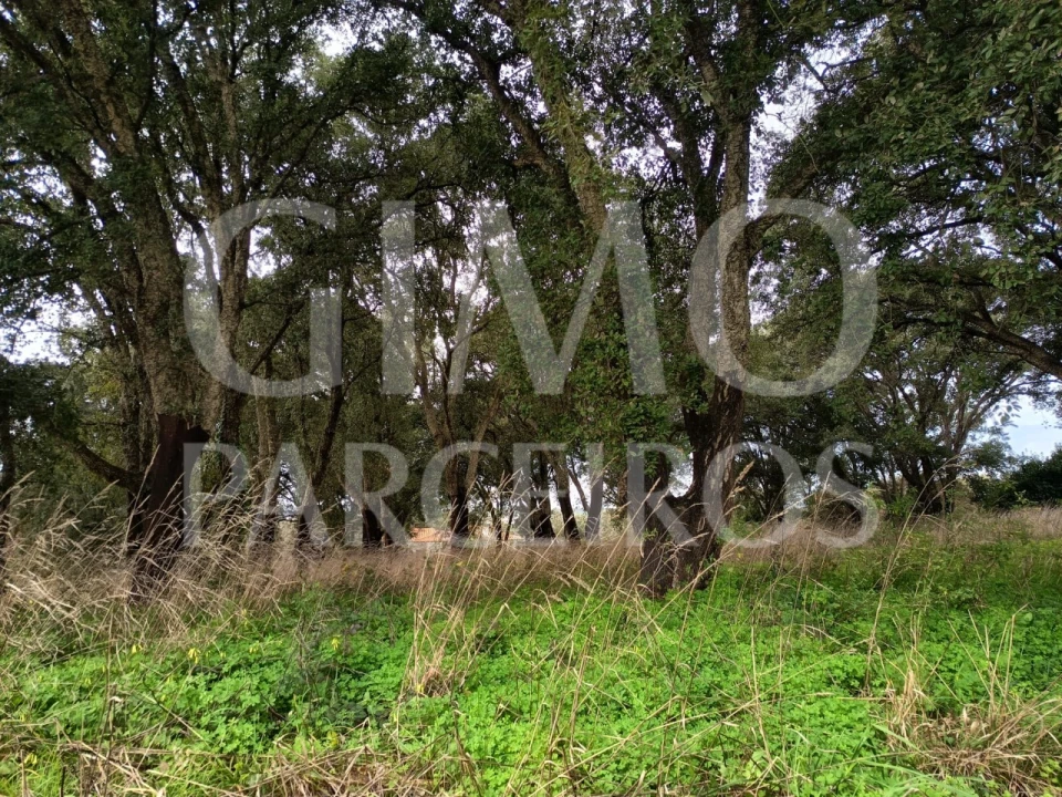 Terreno para Venda em Sangalhos Foto 10