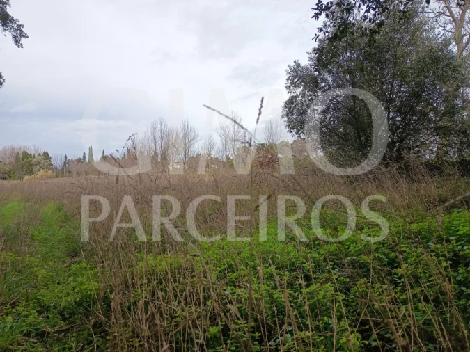 Terreno para Venda em Sangalhos Foto 2