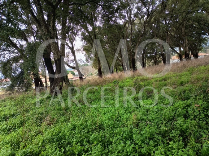 Terreno para Venda em Sangalhos Foto 7