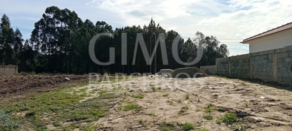 Terreno para Venda em Oiã Foto 2