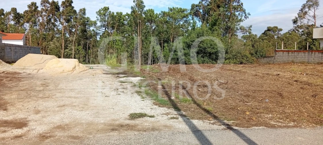 Terreno para Venda em Oiã Foto 7