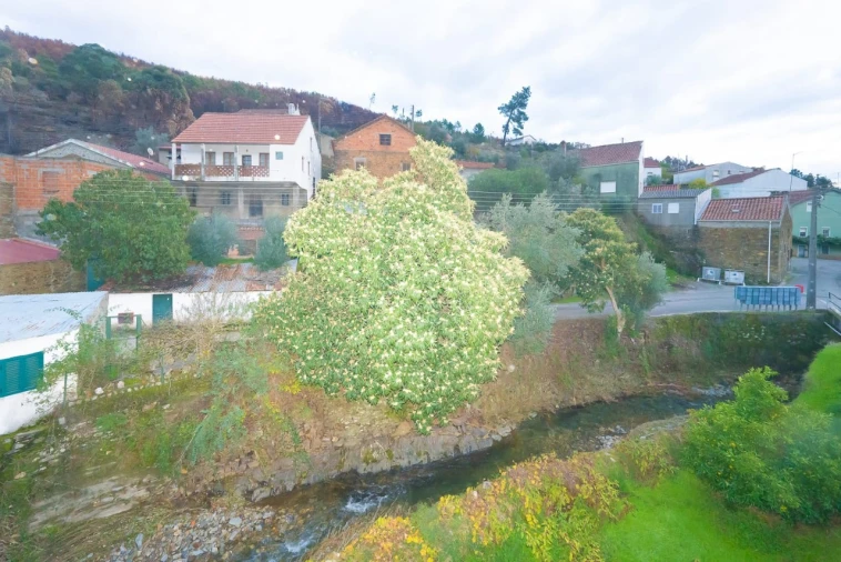 Moradia T3 para Venda em São Vicente da Beira Foto 10