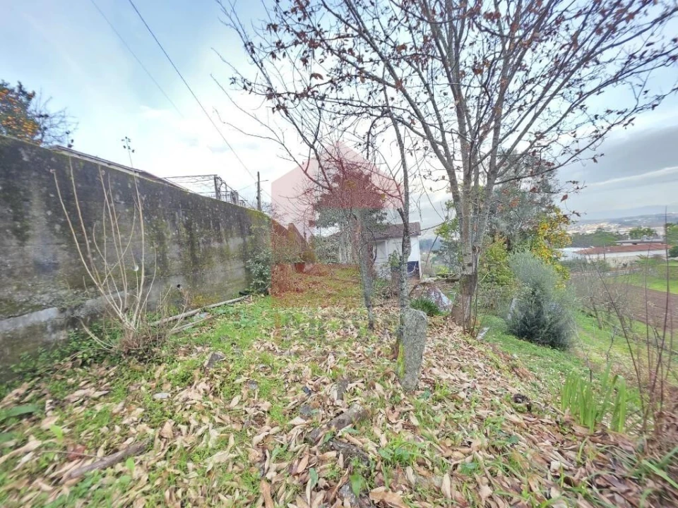 Moradia T2 para Venda em Vila Verde e Barbudo Foto 15