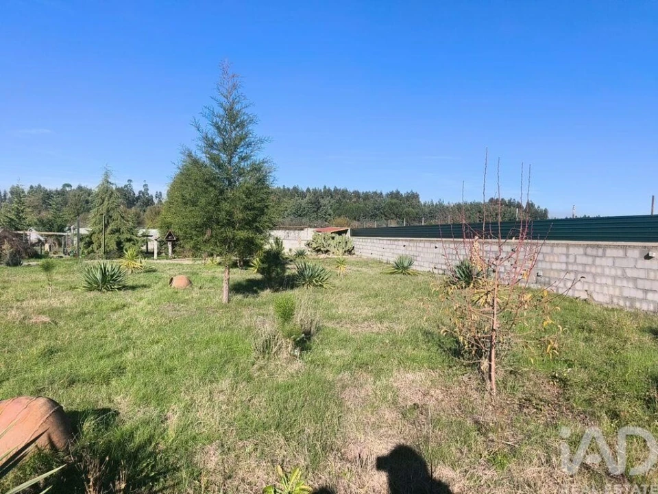 Terreno para Venda em Ervedal e Vila Franca da Beira Foto 25