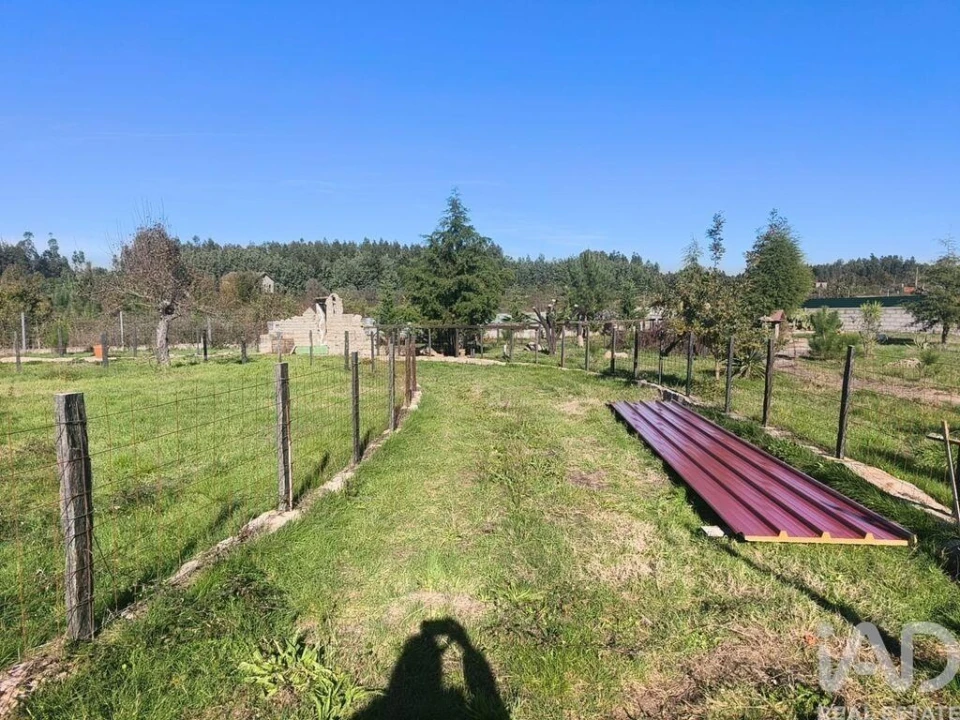 Terreno para Venda em Ervedal e Vila Franca da Beira Foto 17