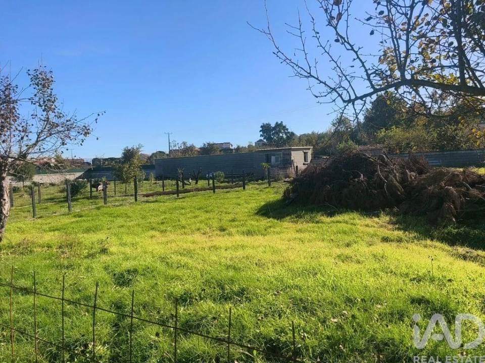 Terreno para Venda em Ervedal e Vila Franca da Beira Foto 26