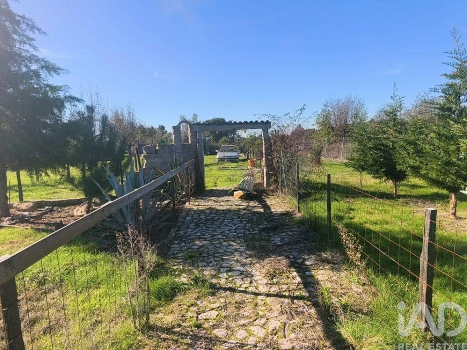 Terreno para Venda em Ervedal e Vila Franca da Beira Foto 31
