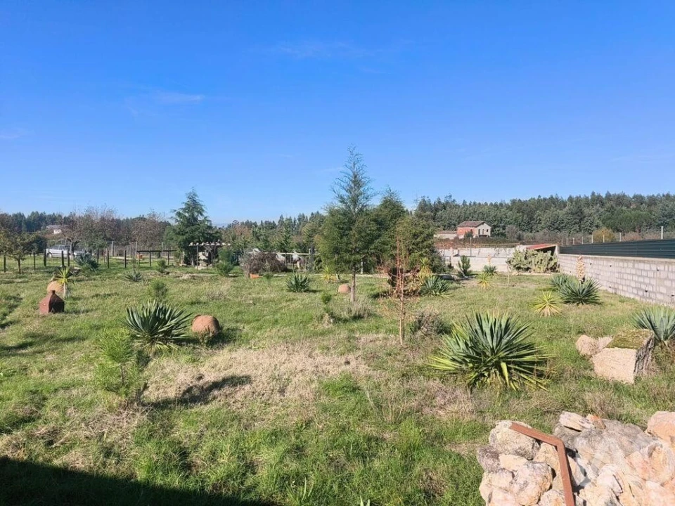 Terreno para Venda em Ervedal e Vila Franca da Beira Foto 1