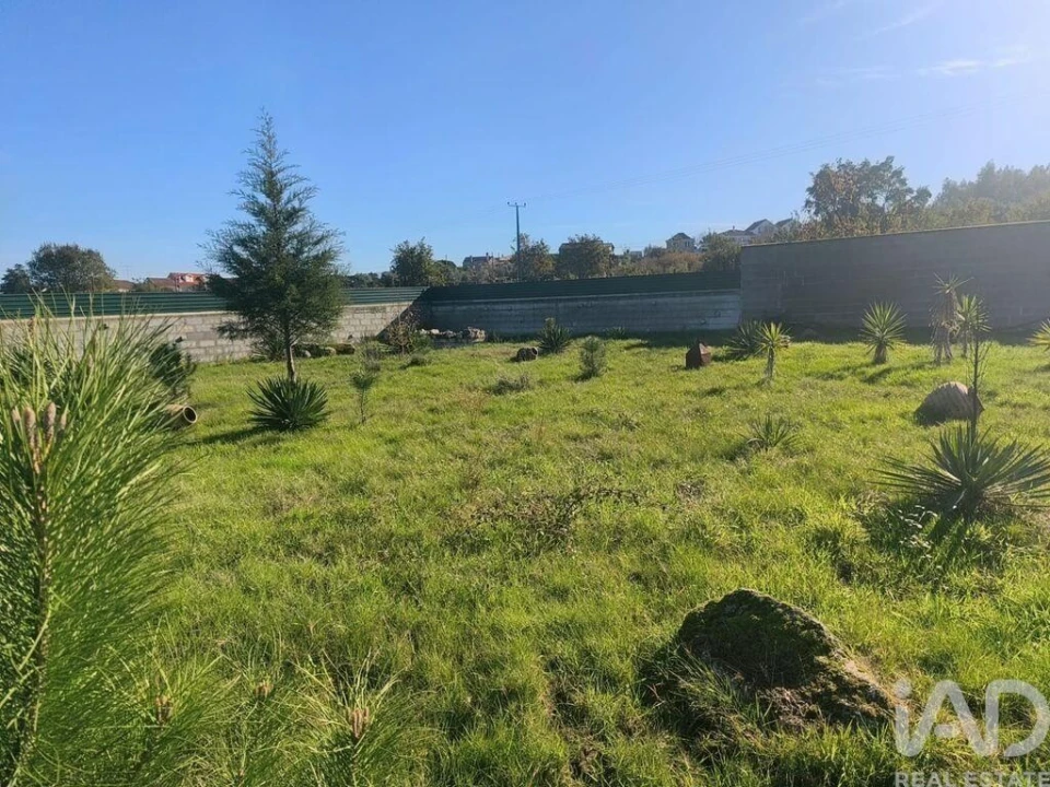 Terreno para Venda em Ervedal e Vila Franca da Beira Foto 33