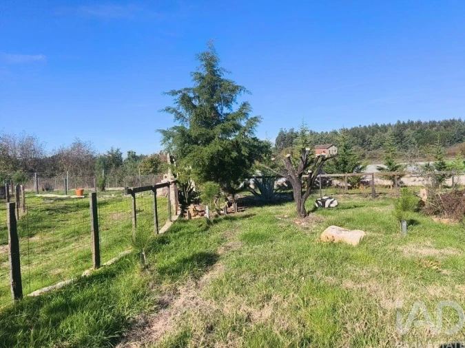 Terreno para Venda em Ervedal e Vila Franca da Beira Foto 21