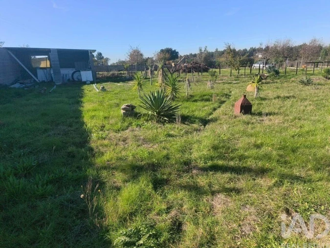 Terreno para Venda em Ervedal e Vila Franca da Beira Foto 6