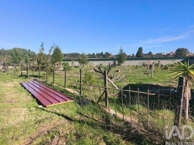 Terreno para Venda em Ervedal e Vila Franca da Beira Foto 4