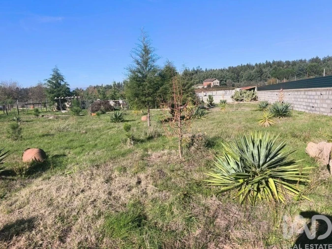 Terreno para Venda em Ervedal e Vila Franca da Beira Foto 40
