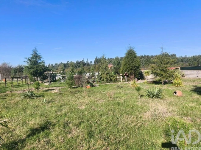 Terreno para Venda em Ervedal e Vila Franca da Beira Foto 8