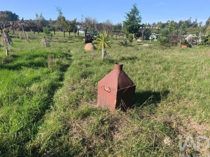 Terreno para Venda em Ervedal e Vila Franca da Beira Foto 11