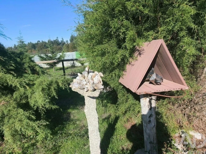 Terreno para Venda em Ervedal e Vila Franca da Beira Foto 19