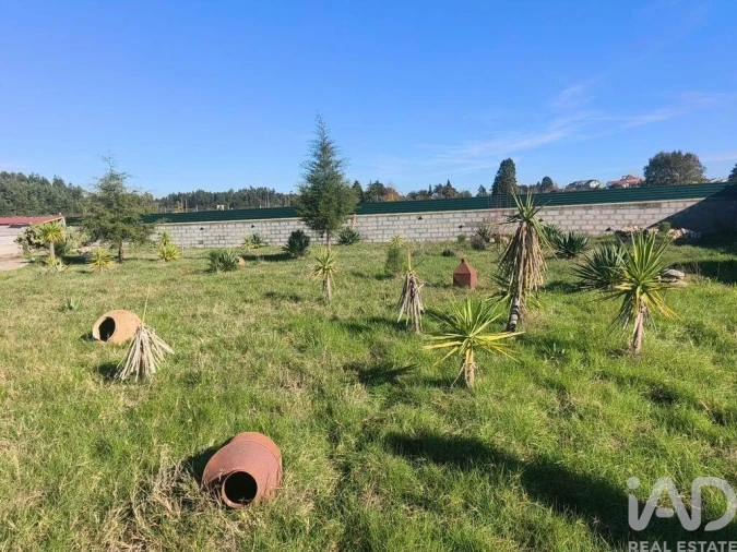 Terreno para Venda em Ervedal e Vila Franca da Beira Foto 32