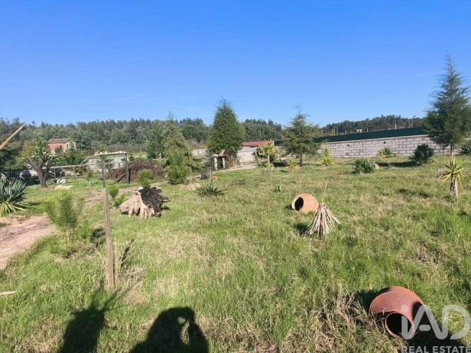 Terreno para Venda em Ervedal e Vila Franca da Beira Foto 18