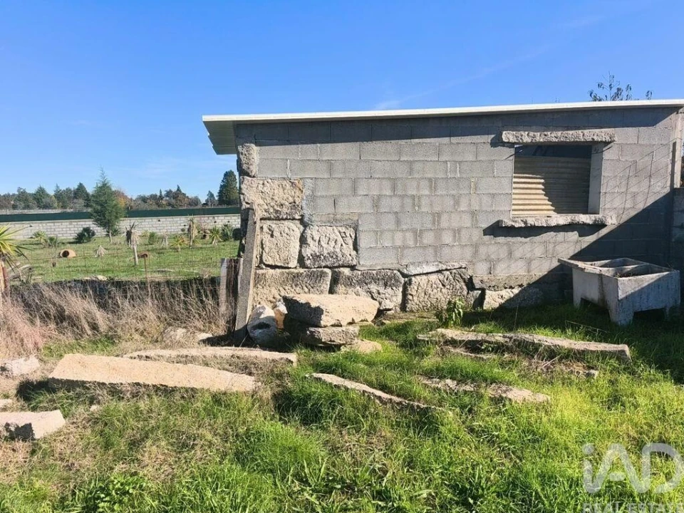 Terreno para Venda em Ervedal e Vila Franca da Beira Foto 35