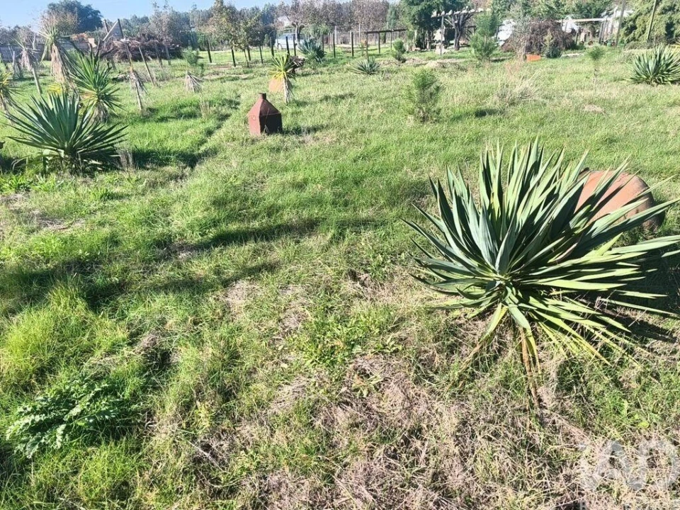 Terreno para Venda em Ervedal e Vila Franca da Beira Foto 37