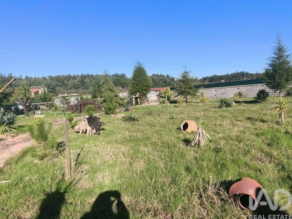 Terreno para Venda em Ervedal e Vila Franca da Beira Foto 18