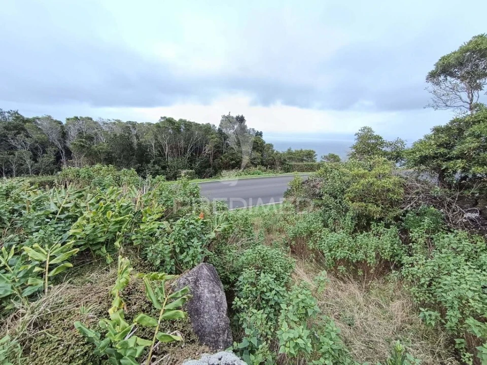 Terreno para Venda em Santo Amaro Foto 6