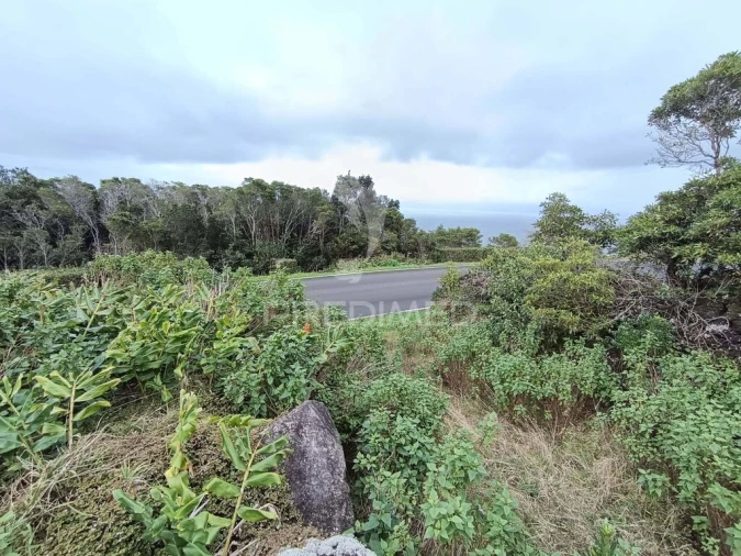 Terreno para Venda em Santo Amaro Foto 6