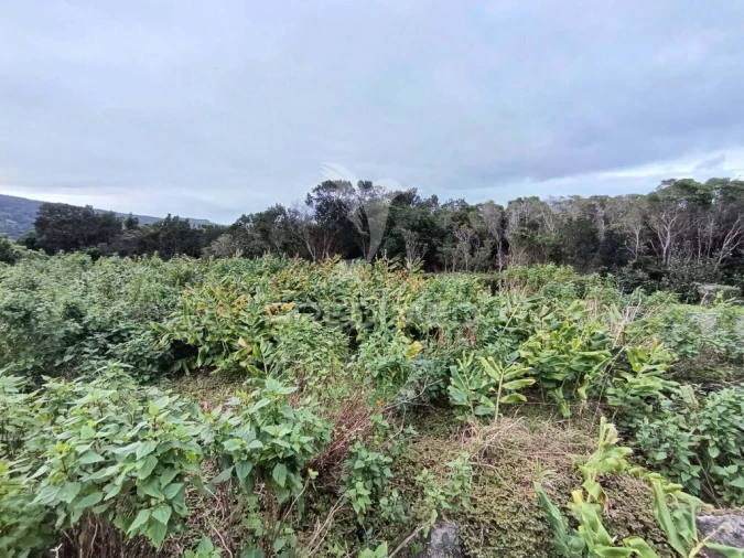 Terreno para Venda em Santo Amaro Foto 4