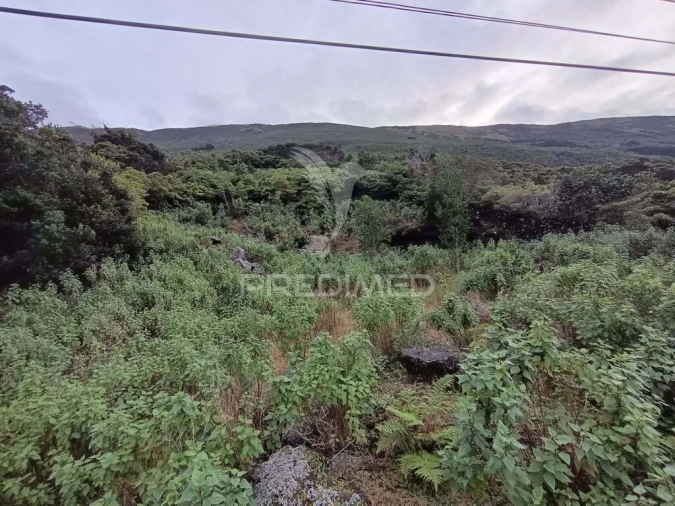 Terreno para Venda em Santo Amaro Foto 9
