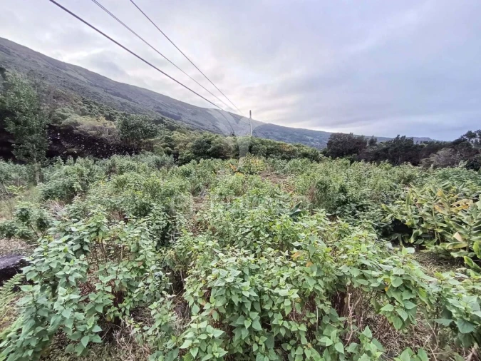 Terreno para Venda em Santo Amaro Foto 7