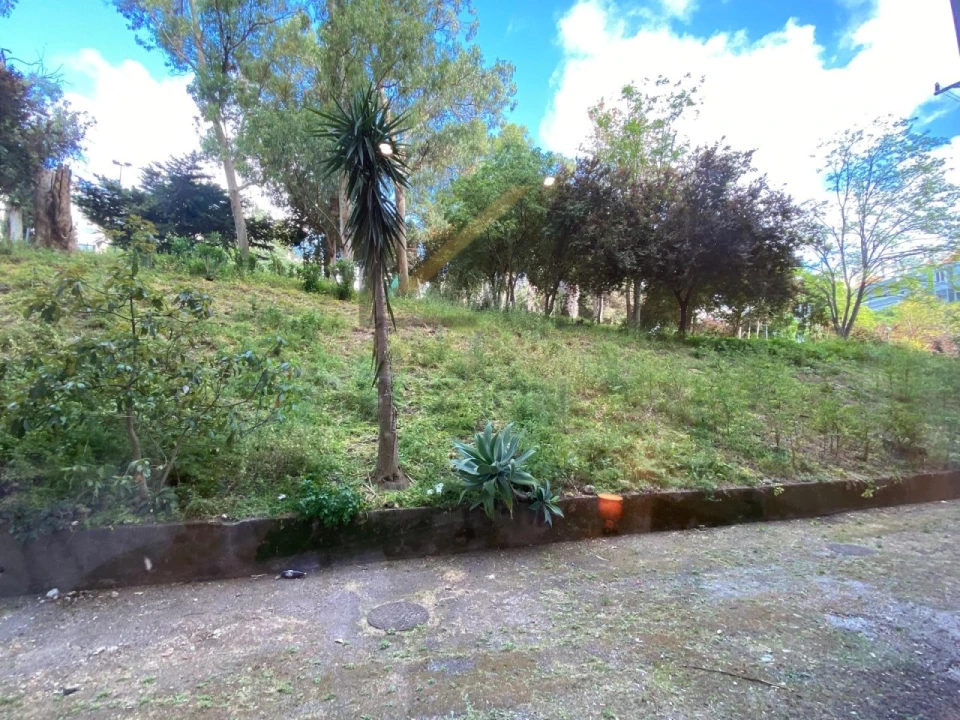 Apartamento T2 para Venda em Benfica Foto 11