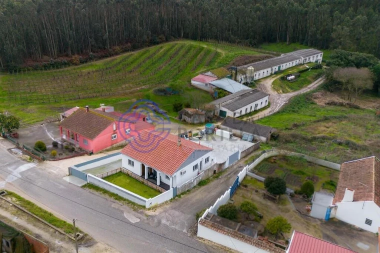 Moradia T3 para Venda em Landal Foto 4