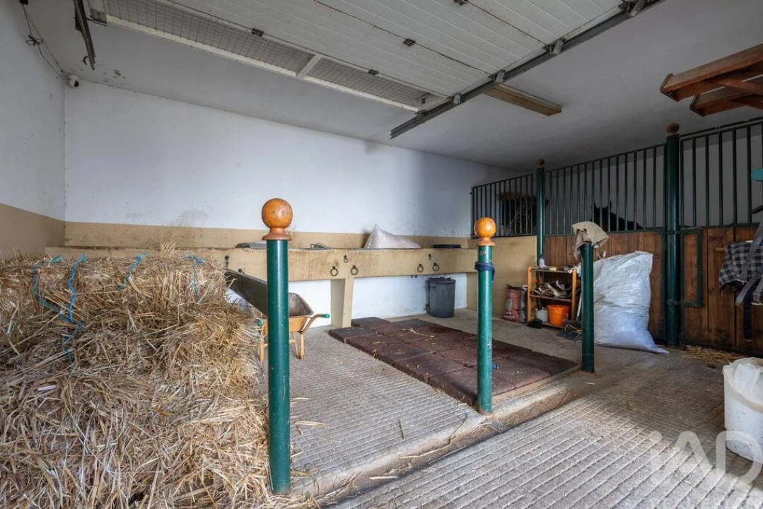 Moradia T5 para Venda em Golegã Foto 34