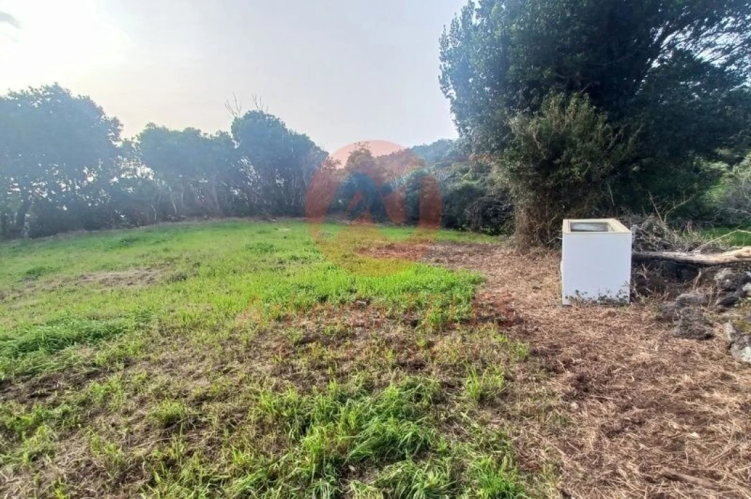 Moradia T3 para Venda em Ribeira Seca Foto 38