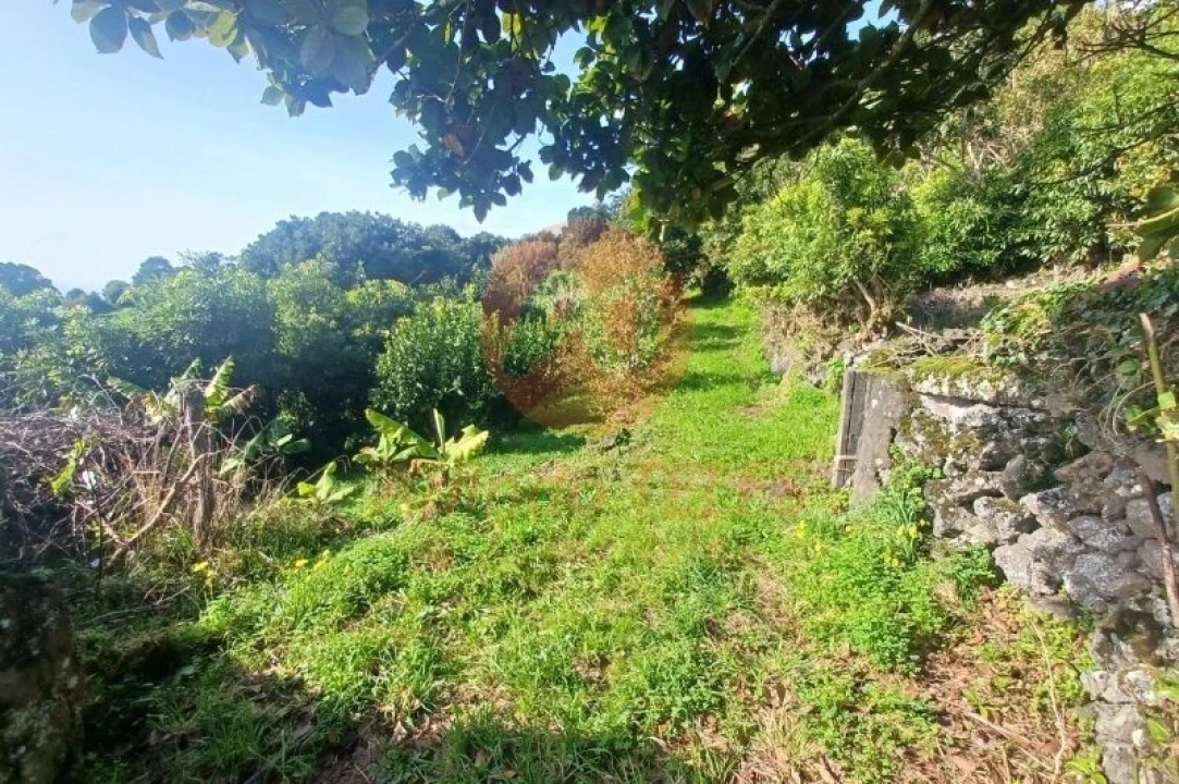 Moradia T3 para Venda em Ribeira Seca Foto 46