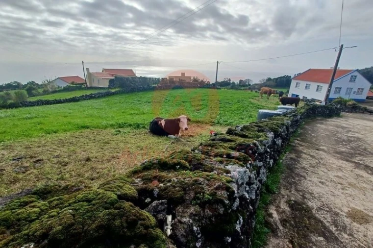 Moradia T3 para Venda em Ribeira Seca Foto 42