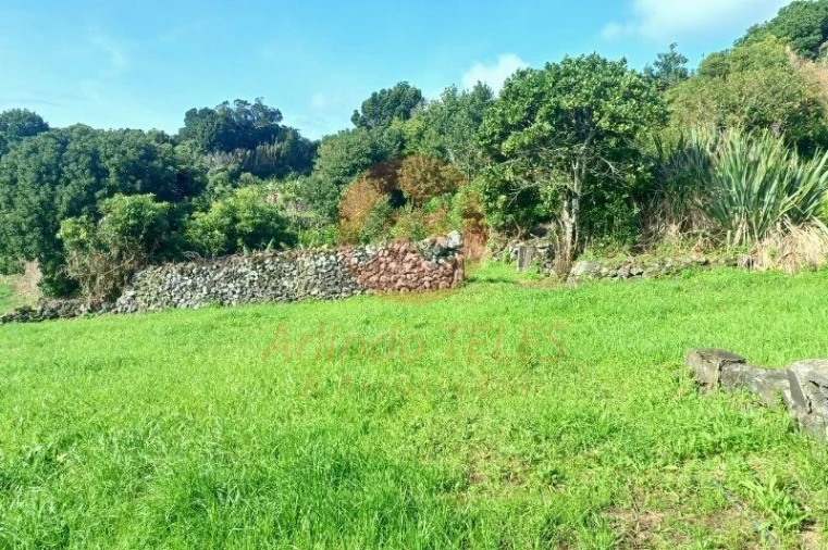 Moradia T3 para Venda em Ribeira Seca Foto 48