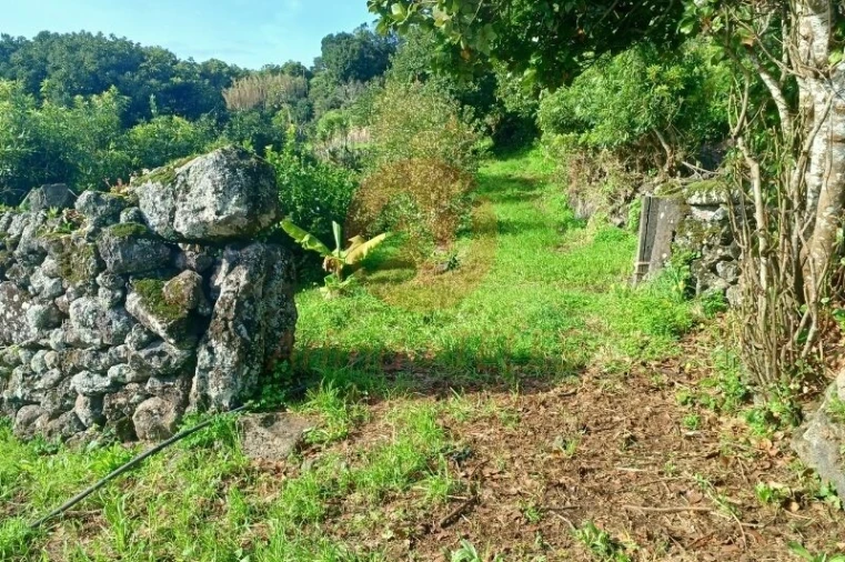 Moradia T3 para Venda em Ribeira Seca Foto 47