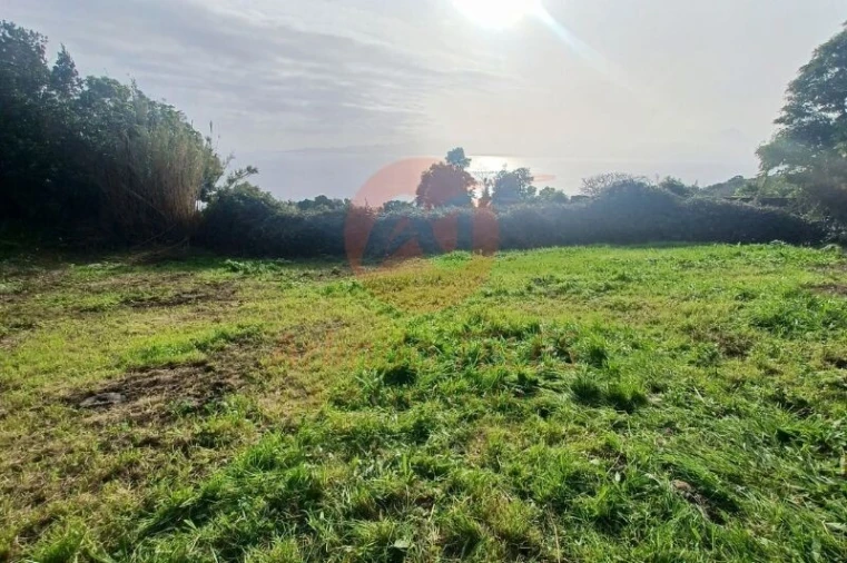 Moradia T3 para Venda em Ribeira Seca Foto 39