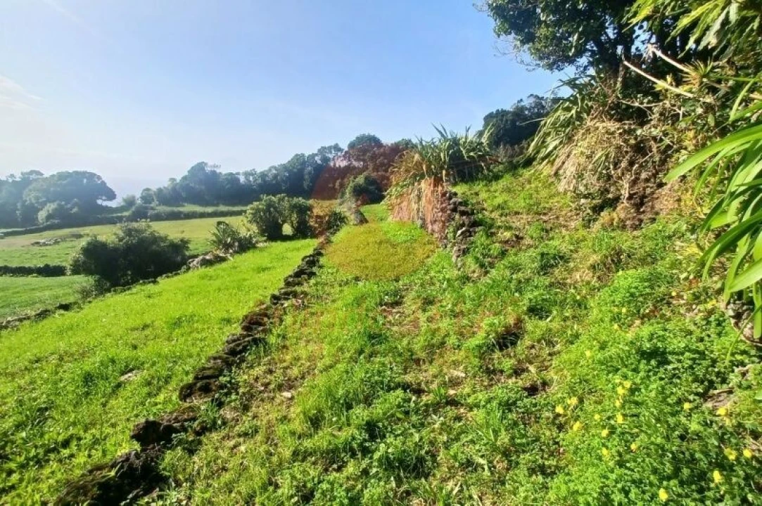 Moradia T3 para Venda em Ribeira Seca Foto 45