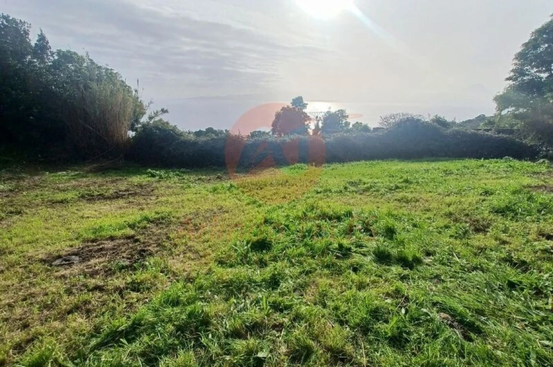 Moradia T3 para Venda em Ribeira Seca Foto 39