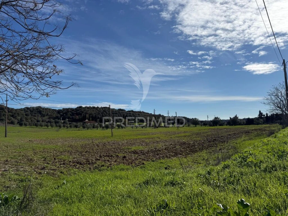 Terreno para Venda em Pernes Foto 7